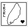 PATROON Filethaken - Texel klein